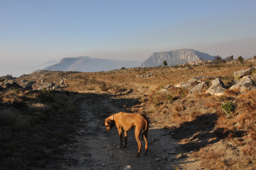 Jenni on the World's View escarpment