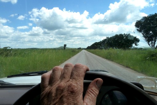 I wasn't going fast when I took this - promise!