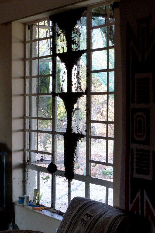 Not a pretty sight early in the morning!