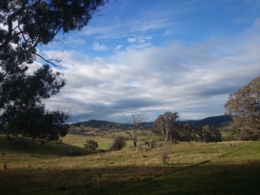 Pasture land around Orange