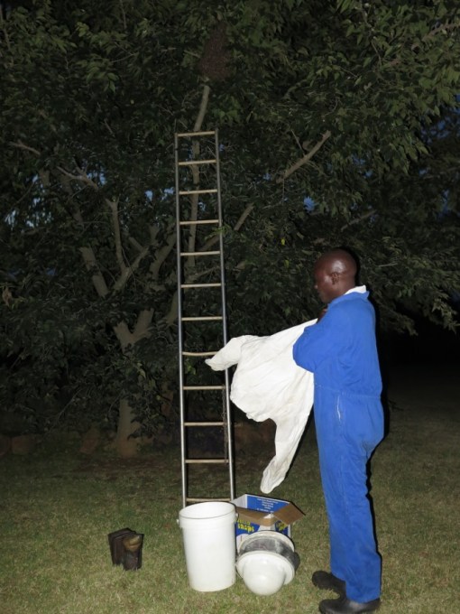 Preparing for action